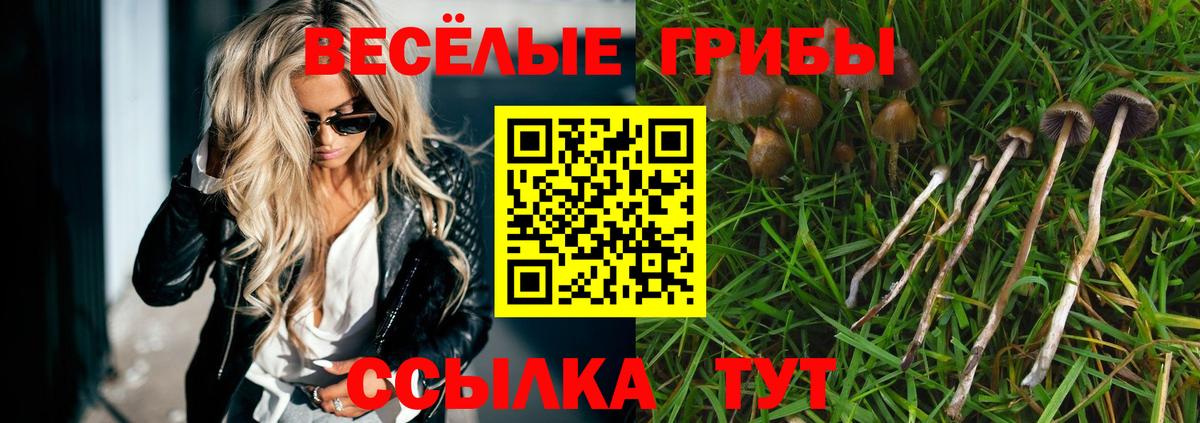 Псилоцибиновые грибы Psilocybe  Вход с VPN  купить  сайты  Моздок 